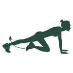 Icône exercice cardio mountain climber coaching sportif Montpellier